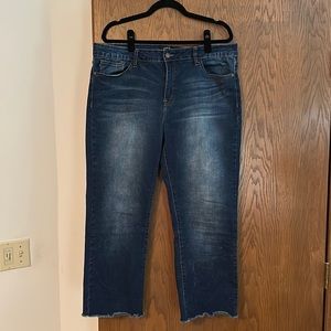 Judy Blue Womens Jeans 1X Cropped Flare Fit